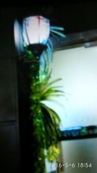 点击看大图 -藤野造型·专业烫染店