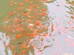 -龙潭水乡