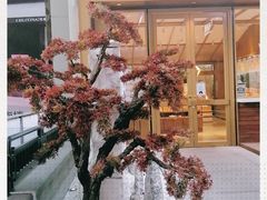 -西村叔叔的店·面包·甜品·蛋糕(崂山丽达店)