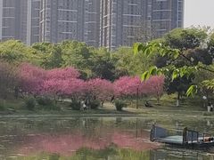 -堤角公园