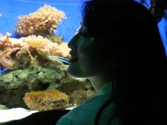 -南昌海洋公园