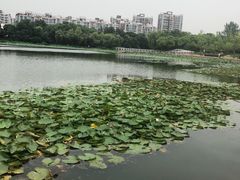 -新江湾城公园