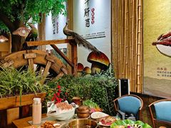 -大理董·董家小厨野生菌火锅(古城旗舰店)