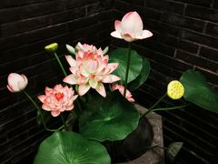 -宋宴(虎跑店)