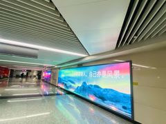 -石家庄正定国际机场-T2航站楼