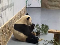 -无锡动物园·太湖欢乐园