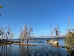 -洱海月湿地公园