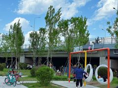 -长白岛森林公园