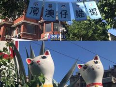 -猫咪博物馆(顶澳仔猫街店)
