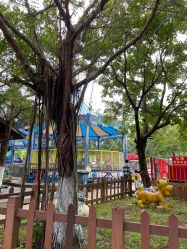 -白沙门公园游乐场