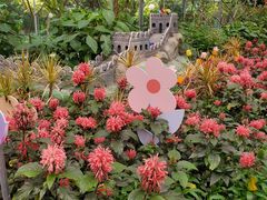 -南宫五洲植物乐园