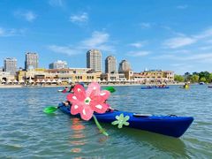 -WhaleSports户外水上运动俱乐部(朝阳公园店)