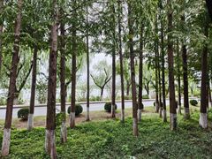 -太阳岛度假酒店