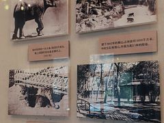 -北京动物园-畅观楼