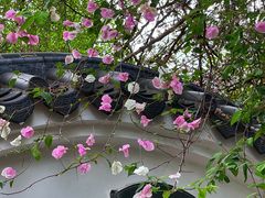 -深圳国际园林花卉博览园