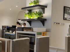 大堂-Aqua Oasis 水天堂(相城天虹商场店)