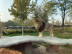 -北京野生动物园