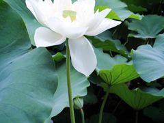 iphone_upload_pic-意大利农场度假村