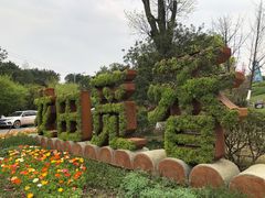 -铁山坪森林公园