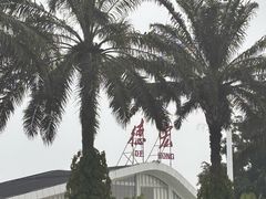 -德宏芒市国际机场