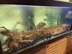 水产区-苏福记·海鲜佬(凤城四路店)