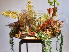 -荷兰布尔玛国际花艺学院