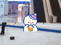 -冰堡国际溜冰场(观澜湖新城MHMALL店)