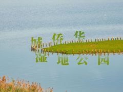 -华侨城湿地公园