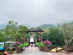 -东部华侨城