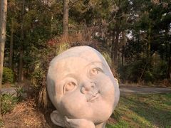 -东平国家森林公园
