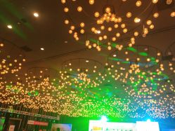 -西安威斯汀大酒店·宴会厅