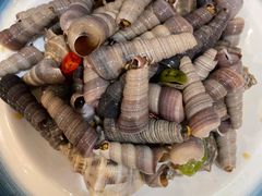 捞汁海螺-小船渔村•大连菜•大连焖鱼(明泽街店)