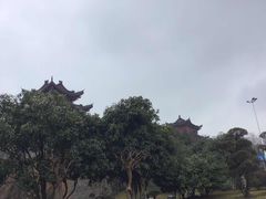 -湖南东洞庭湖国家级自然保护区