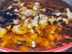 -雲蜀龙阁·金牌水煮鱼(方庄店)