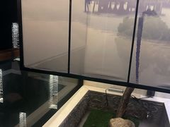 -上足·影院足道·SPA(红岭店)