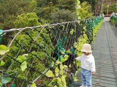 -石燕湖生态旅游景区