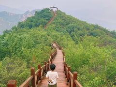 -大岭沟猕猴桃谷风景区