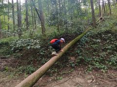 -波尔登森林公园
