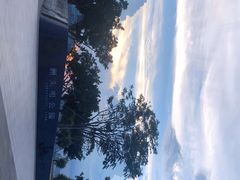 -洲头咀公园