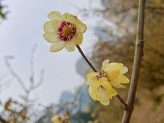 -塔子山公园