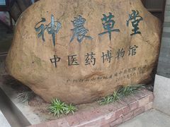 -广州神农草堂中医药博物馆