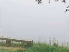 -庐山风景区花径公园