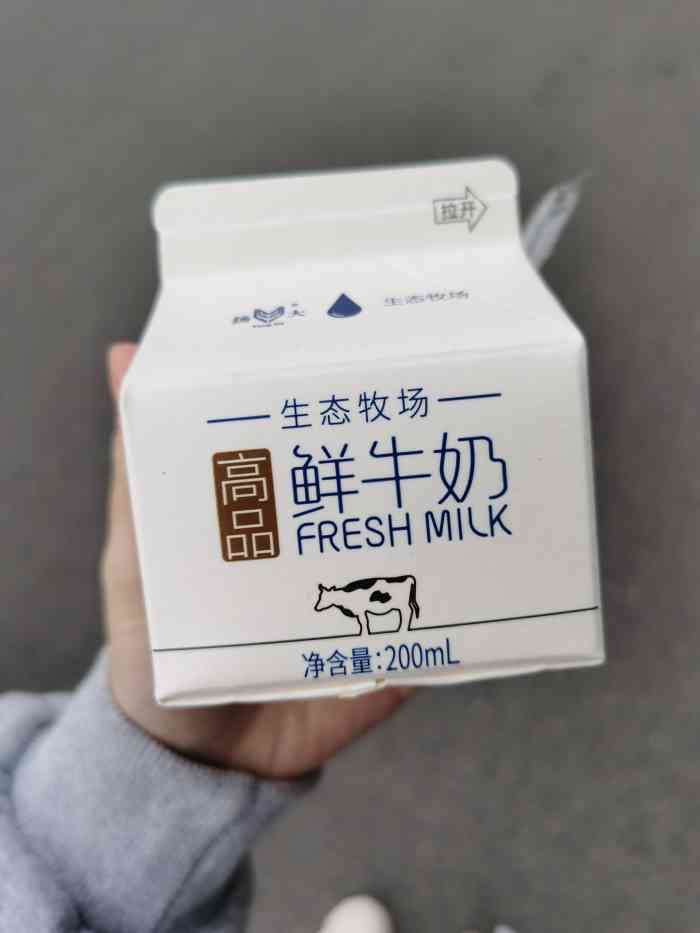 扬大牛奶品种图片