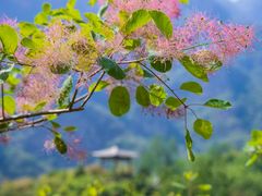 -周口店坡峰岭风景区