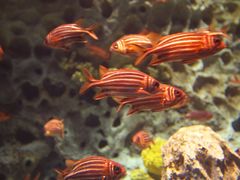 -珠海长隆海洋王国