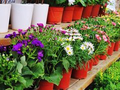 iphone_upload_pic-证大大拇指广场(芳甸路店)