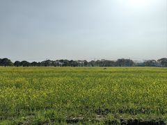 -嘉北郊野公园