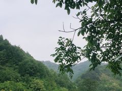 -抱龙峪