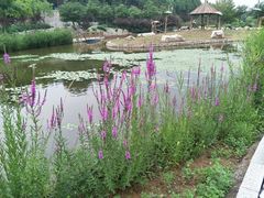 -石家庄市动物园