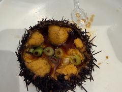 -日月昇渔家菜·海肠捞饭·大连海鲜(星海公园店)